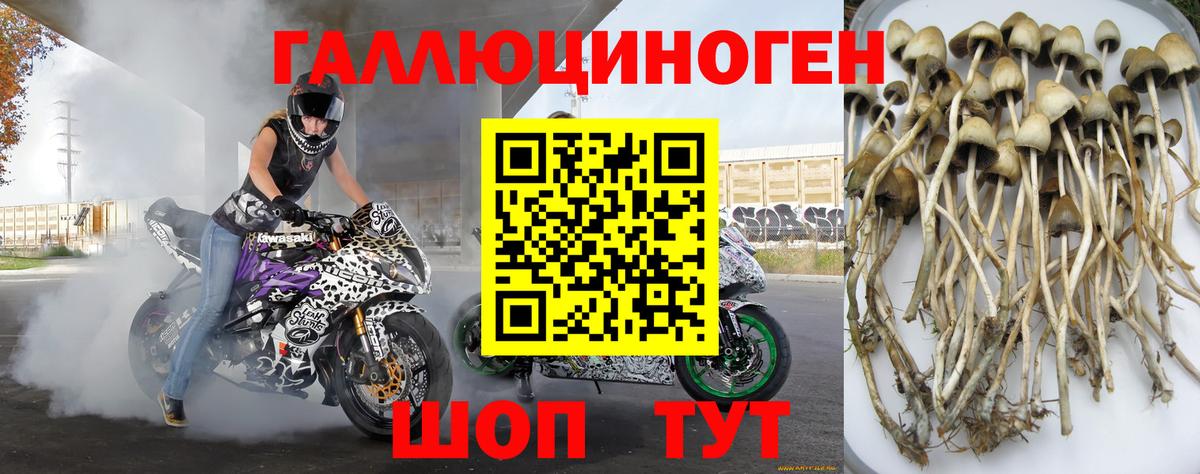 Зима  Галлюциногенные грибы MAGIC MUSHROOMS  Вход с VPN 